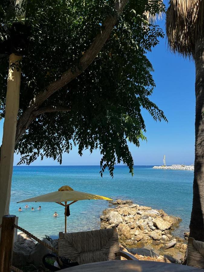 Viking Family Superior Lux Apartment Ayia Napa Exterior photo